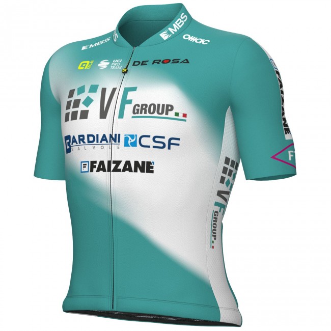 Herren Ale VF Group-Bardiani CSF-Faizane 2024 trikot Radtrikot Kaufen